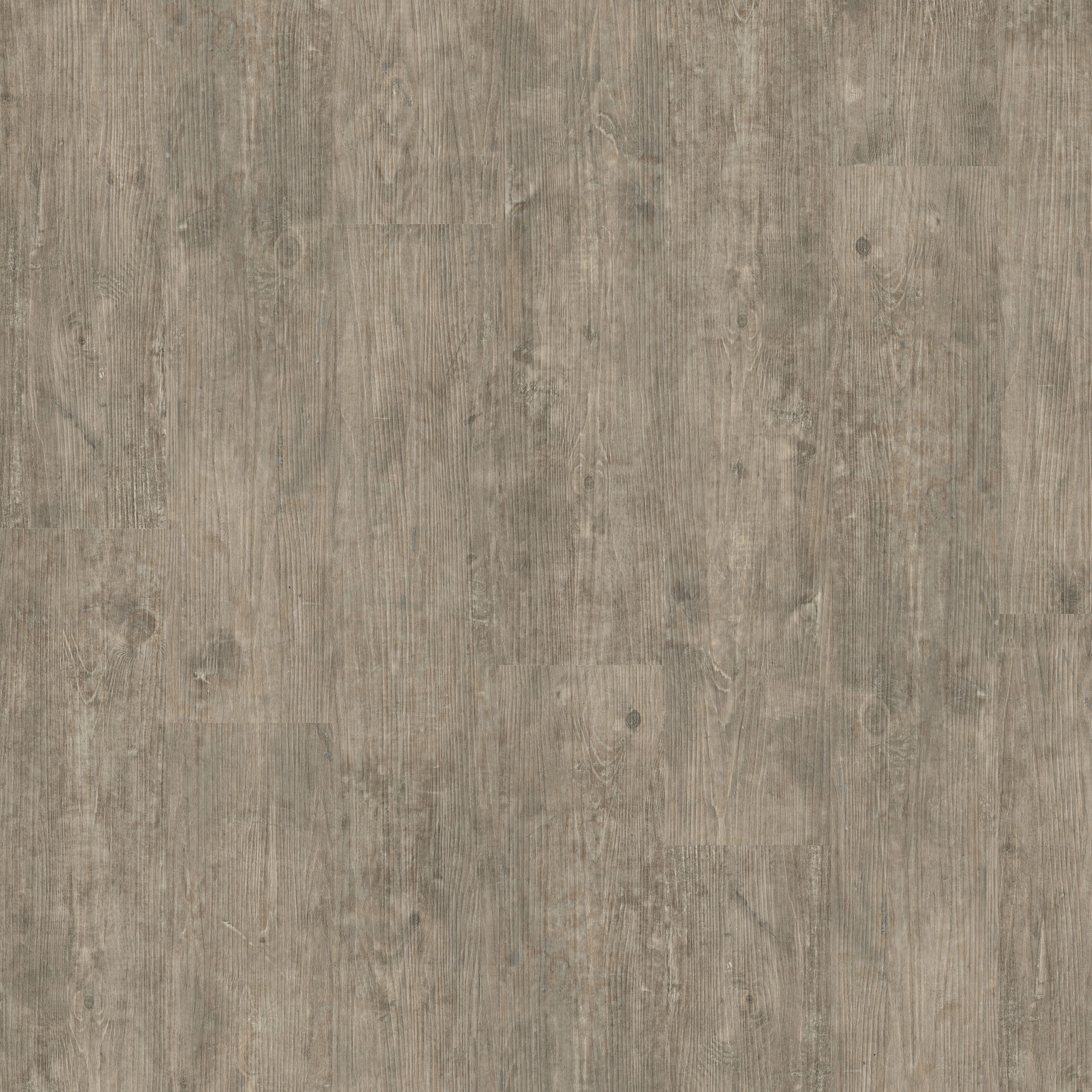 Polyflor Camaro Smoke Brushed Elm Vinyl Plank Flooring