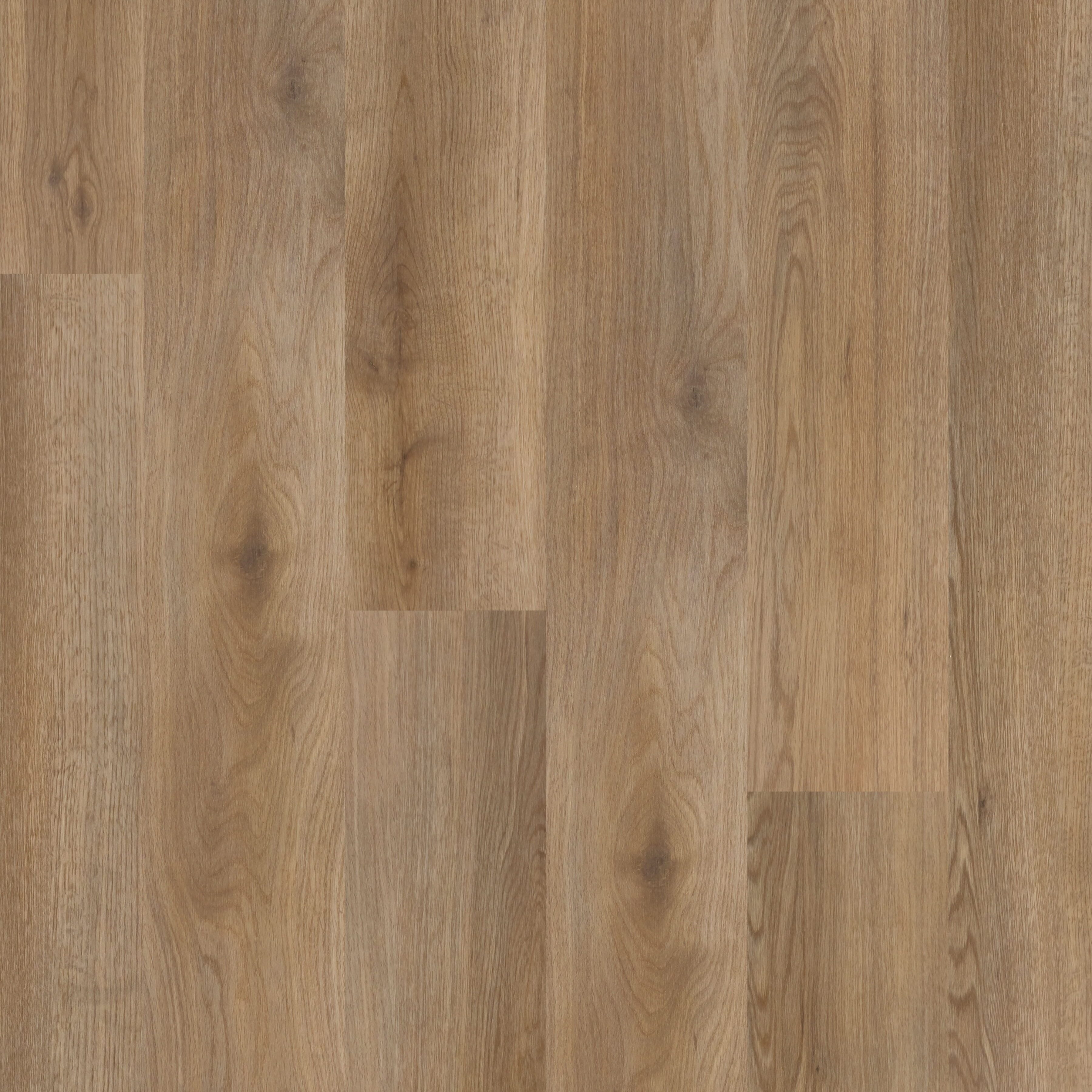 Polyflor Expona Commercial Savanna Vinyl Plank Flooring