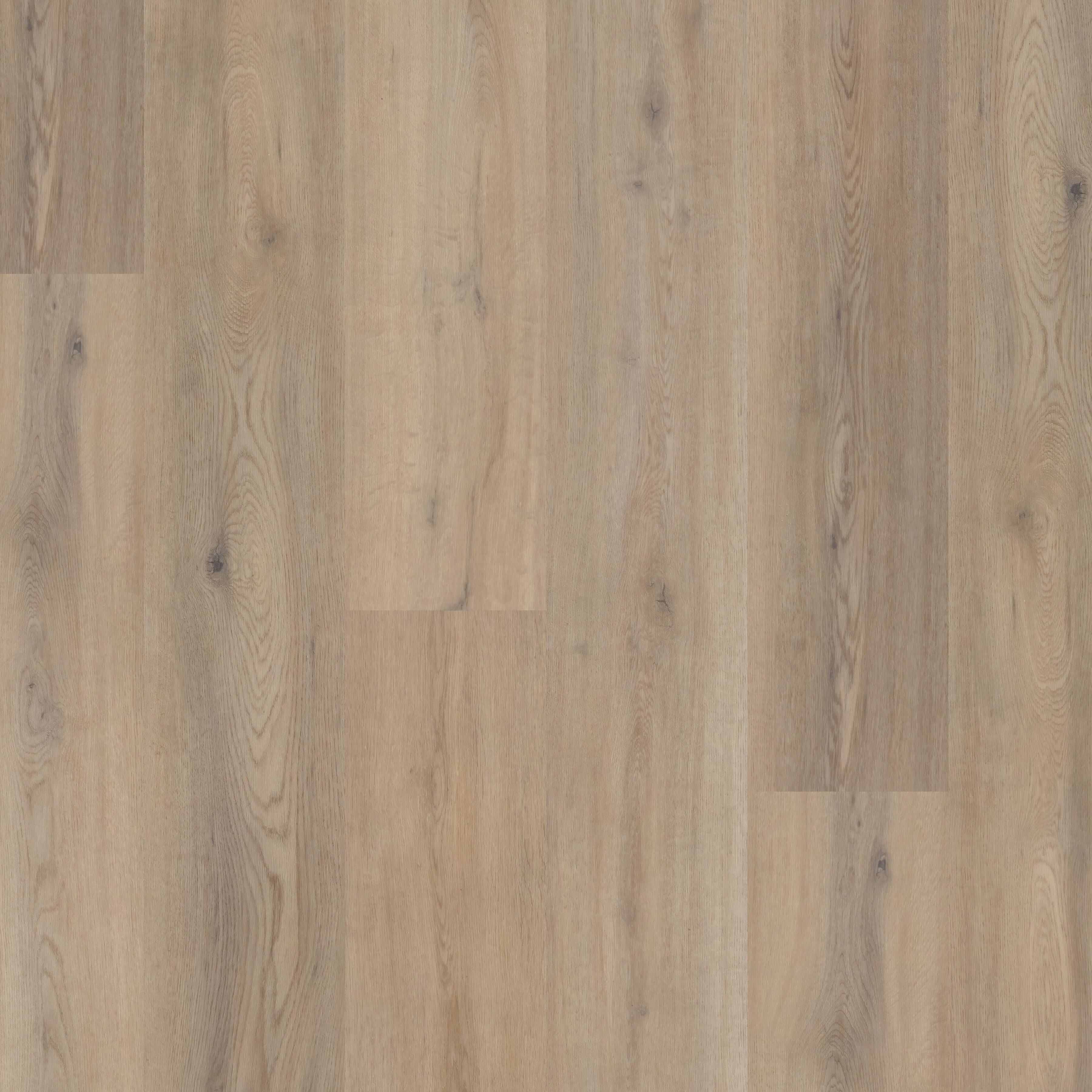 Polyflor Expona Commercial Colorado Vinyl Plank Flooring