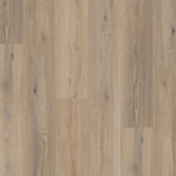 Polyflor Expona Commercial Colorado Vinyl Plank Flooring