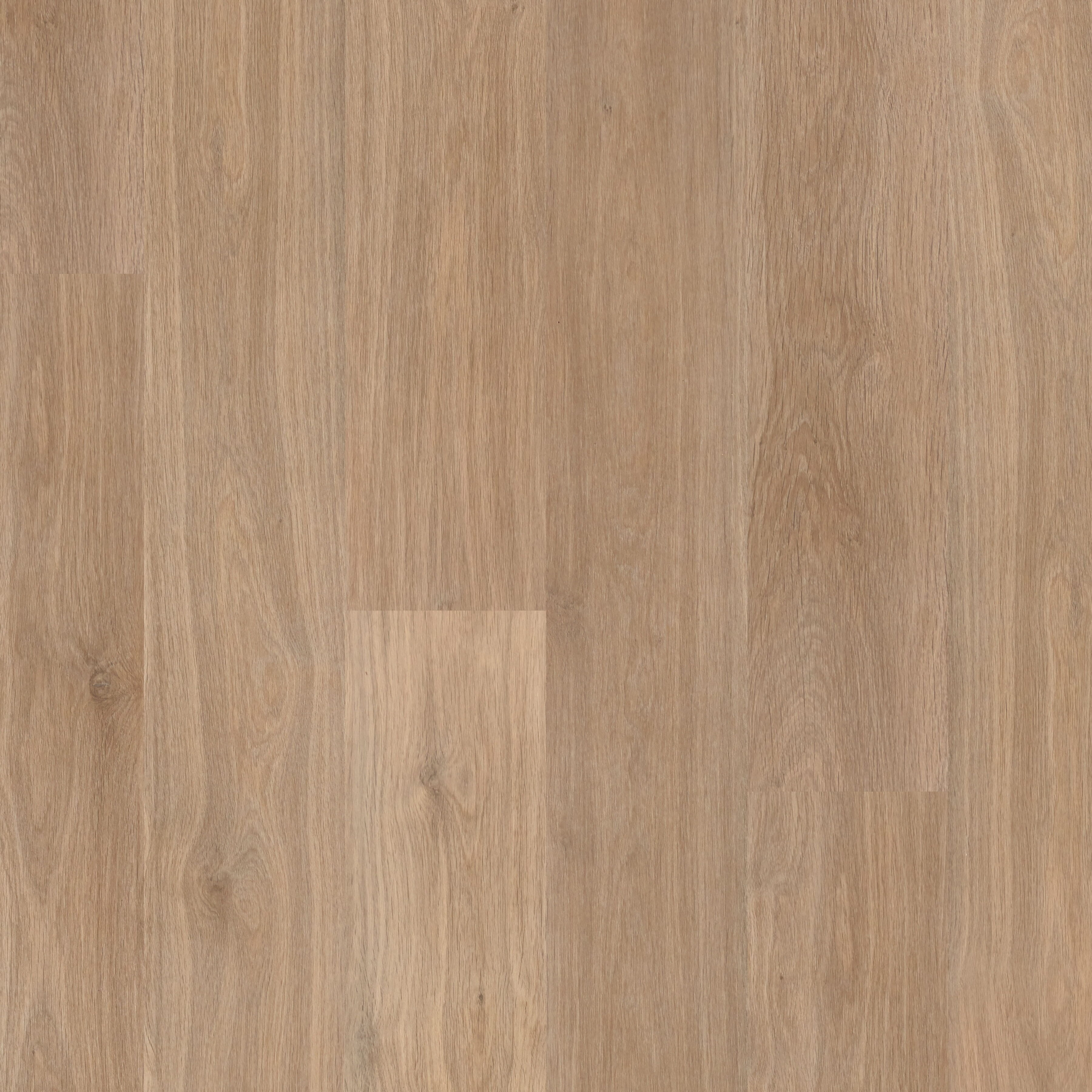 Polyflor Expona Commercial Montego Vinyl Plank Flooring