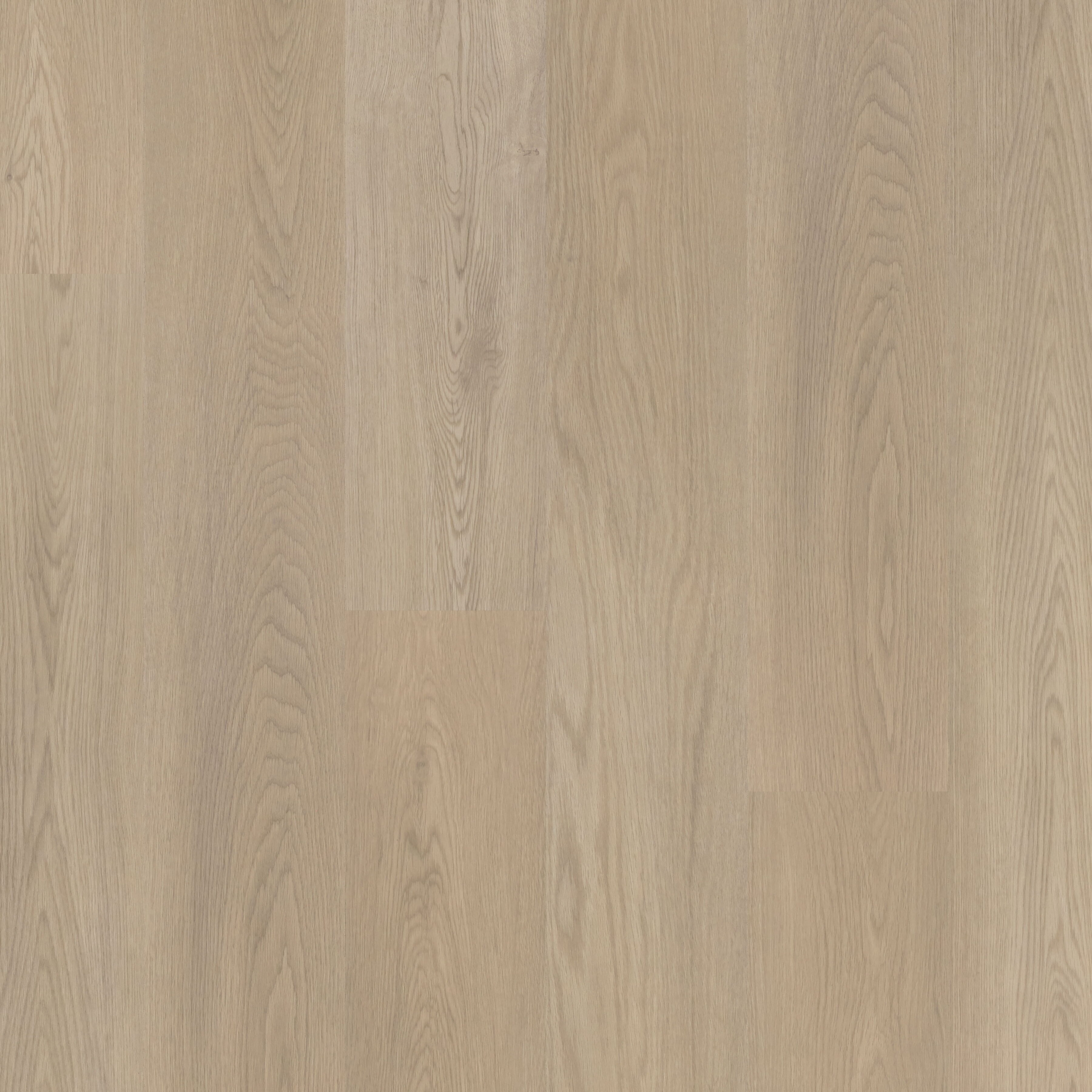 Polyflor Expona Commercial Veneto Vinyl Plank Flooring