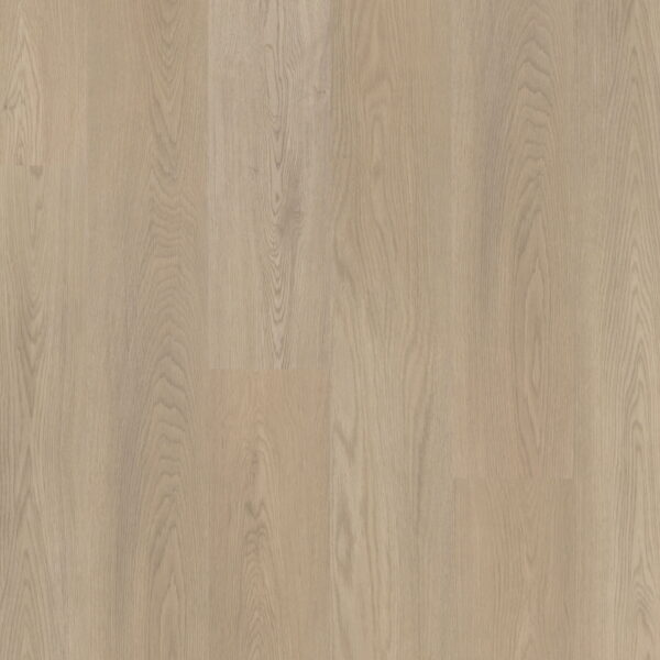 Polyflor Expona Commercial Veneto Vinyl Plank Flooring