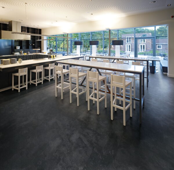 Polyflor Expona Commercial India Ink Slate Vinyl Tile Flooring