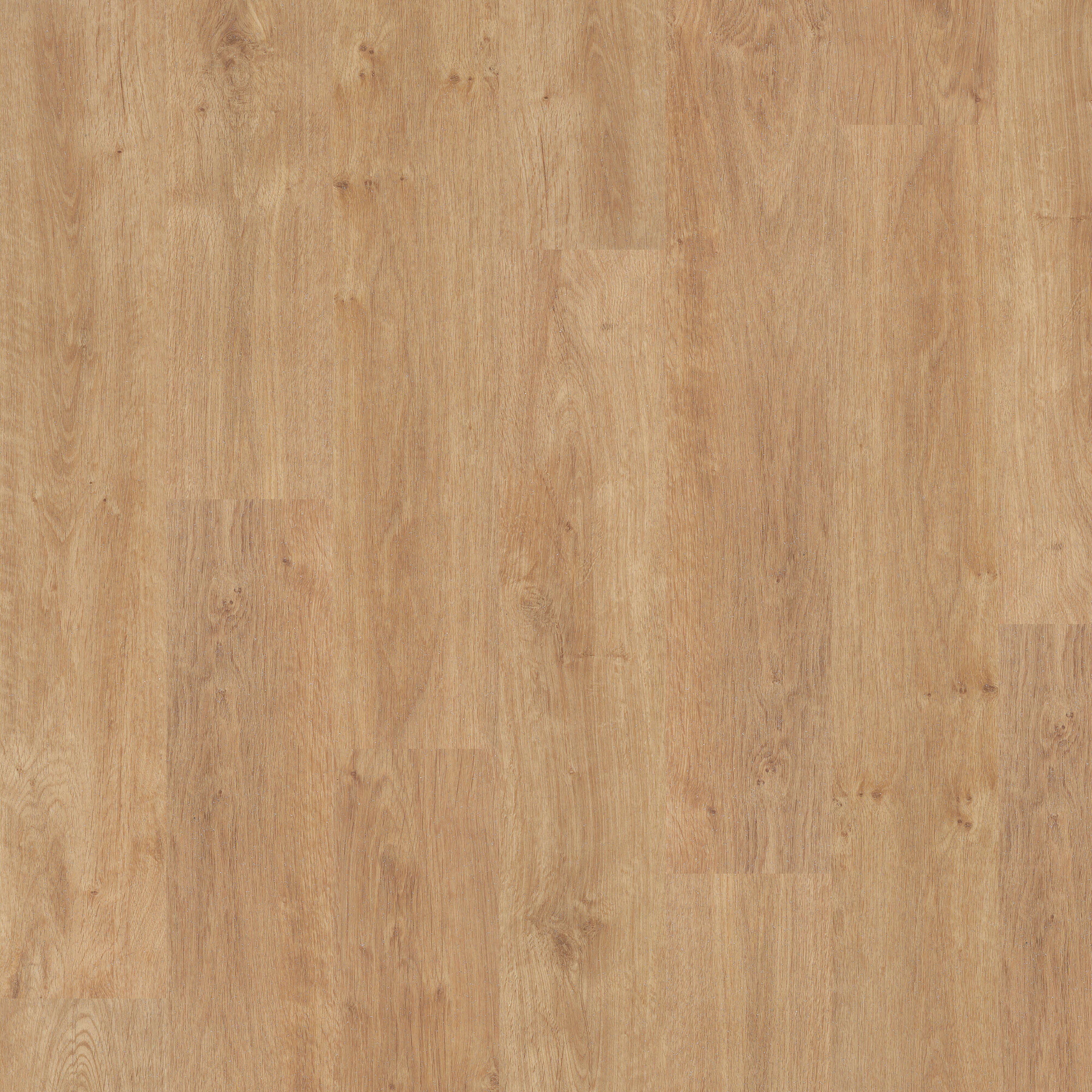 Polyflor Expona Control American Oak Vinyl Plank Flooring