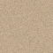 Polyflor Polysafe Standard Autumn Beige Safety Vinyl Sheet