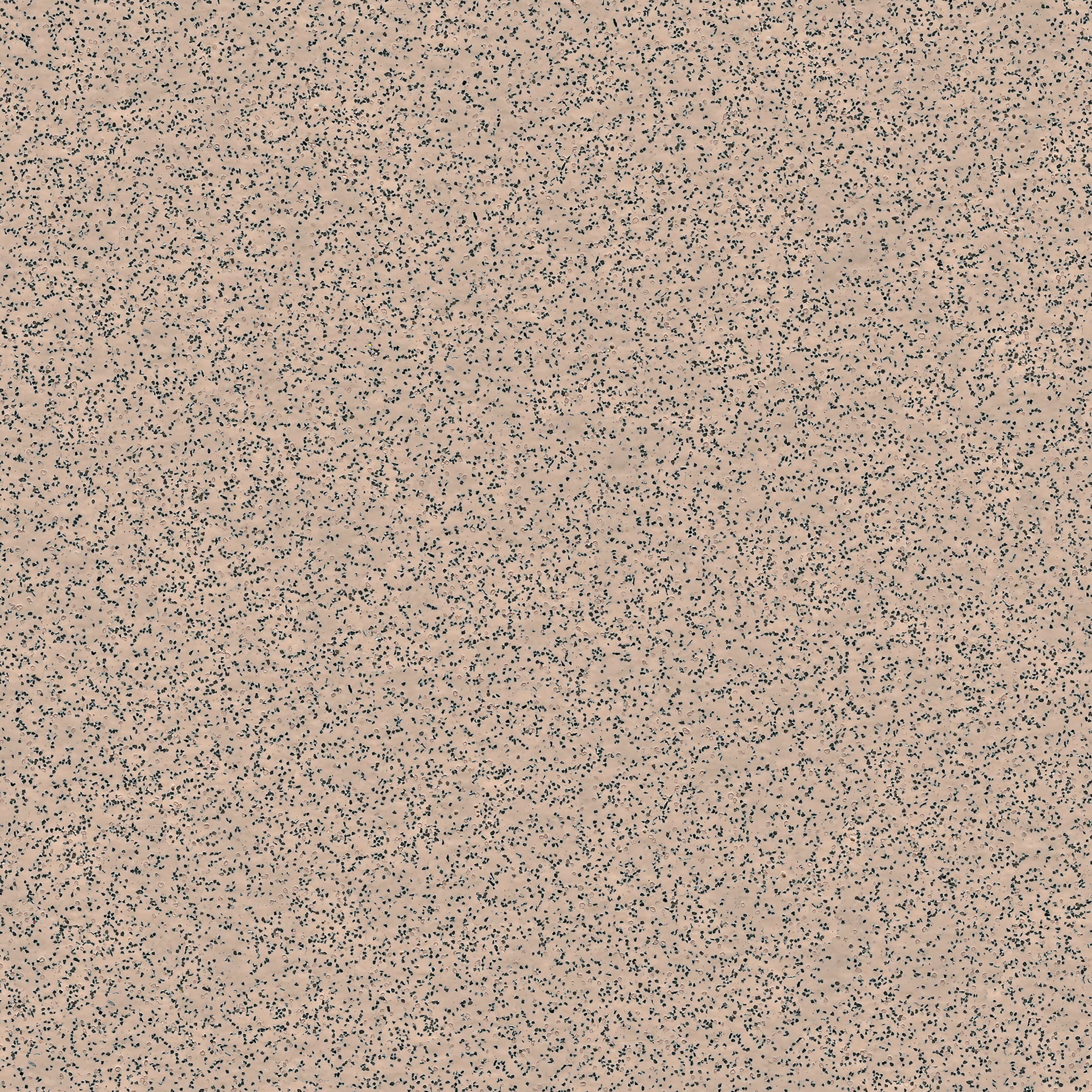 Polyflor Polysafe Standard Elmwood Safety Vinyl Sheet