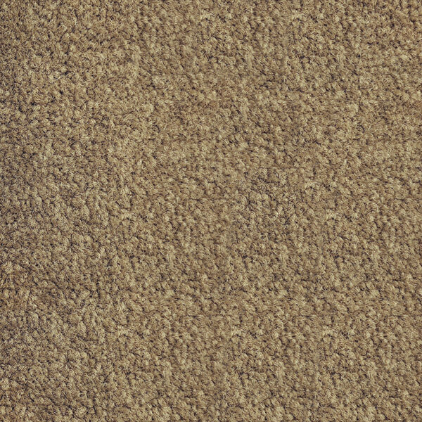 Belgotex Riverside Reserve Bronte carpet