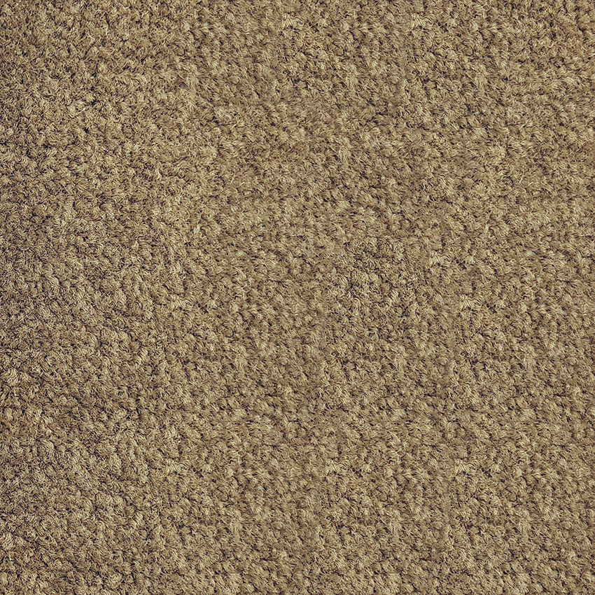 Belgotex Riverside Reserve Bronte carpet