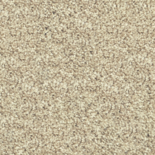 Belgotex Riverside Reserve Waverley carpet