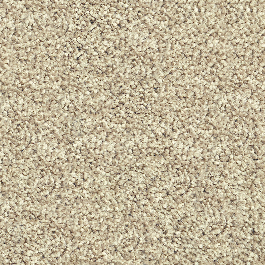 Belgotex Riverside Reserve Waverley carpet
