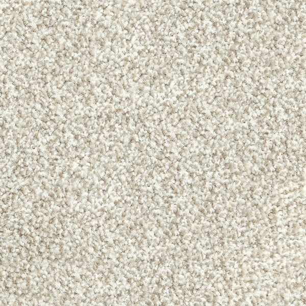 Belgotex Riverside Reserve Auburn carpet