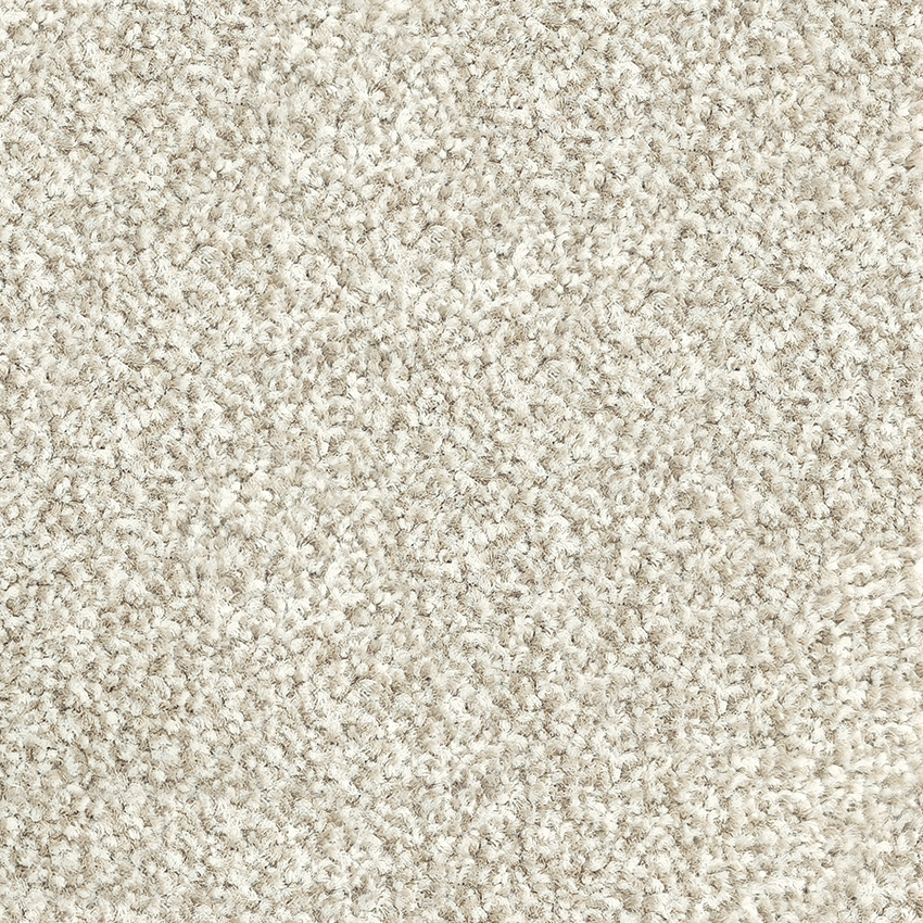 Belgotex Riverside Reserve Auburn carpet