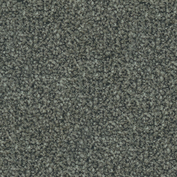 Belgotex Riverside Reserve Rosebery carpet