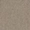 Belgotex Cobbleridge Sheer Coir Carpet
