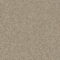 Polyflor Polysafe Stone FX Andesite Safety Vinyl Sheet