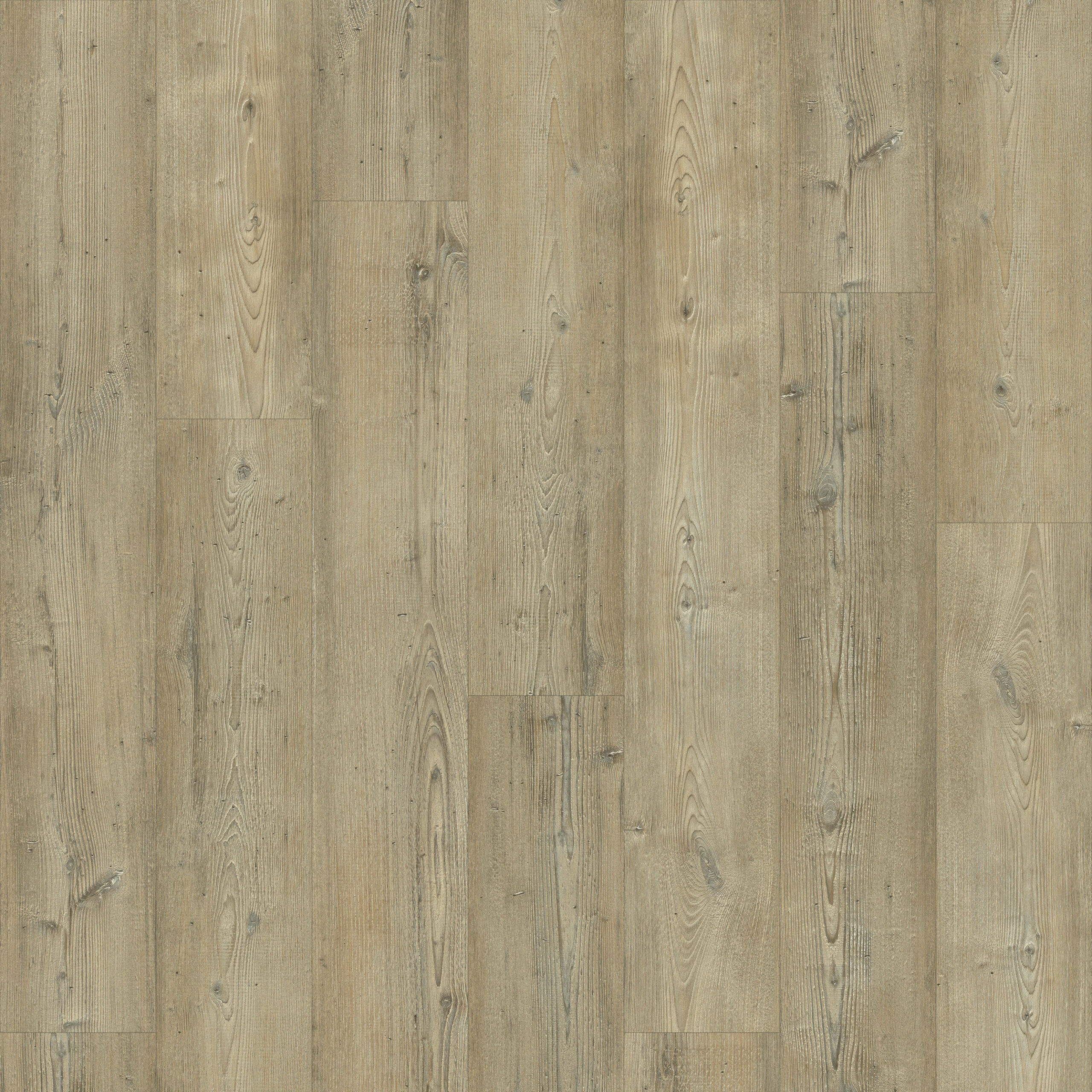 Belgotex Davenport Peanut vinyl plank flooring