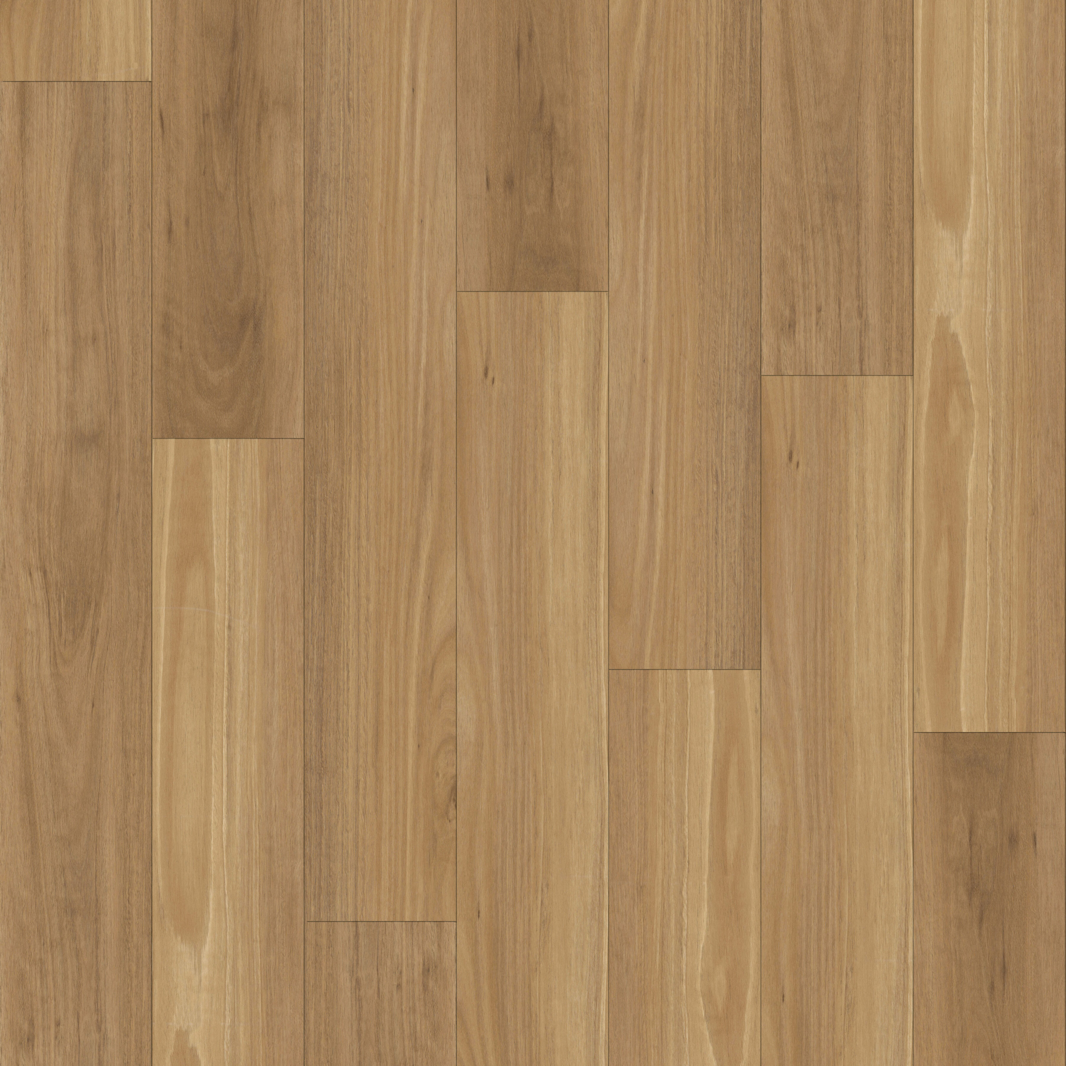 Belgotex Kensington Blackbutt vinyl plank flooring