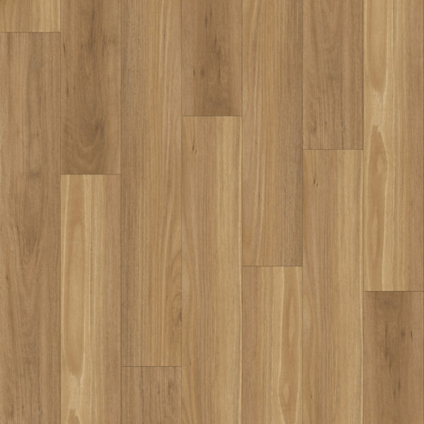 Belgotex Kensington Blackbutt vinyl plank flooring
