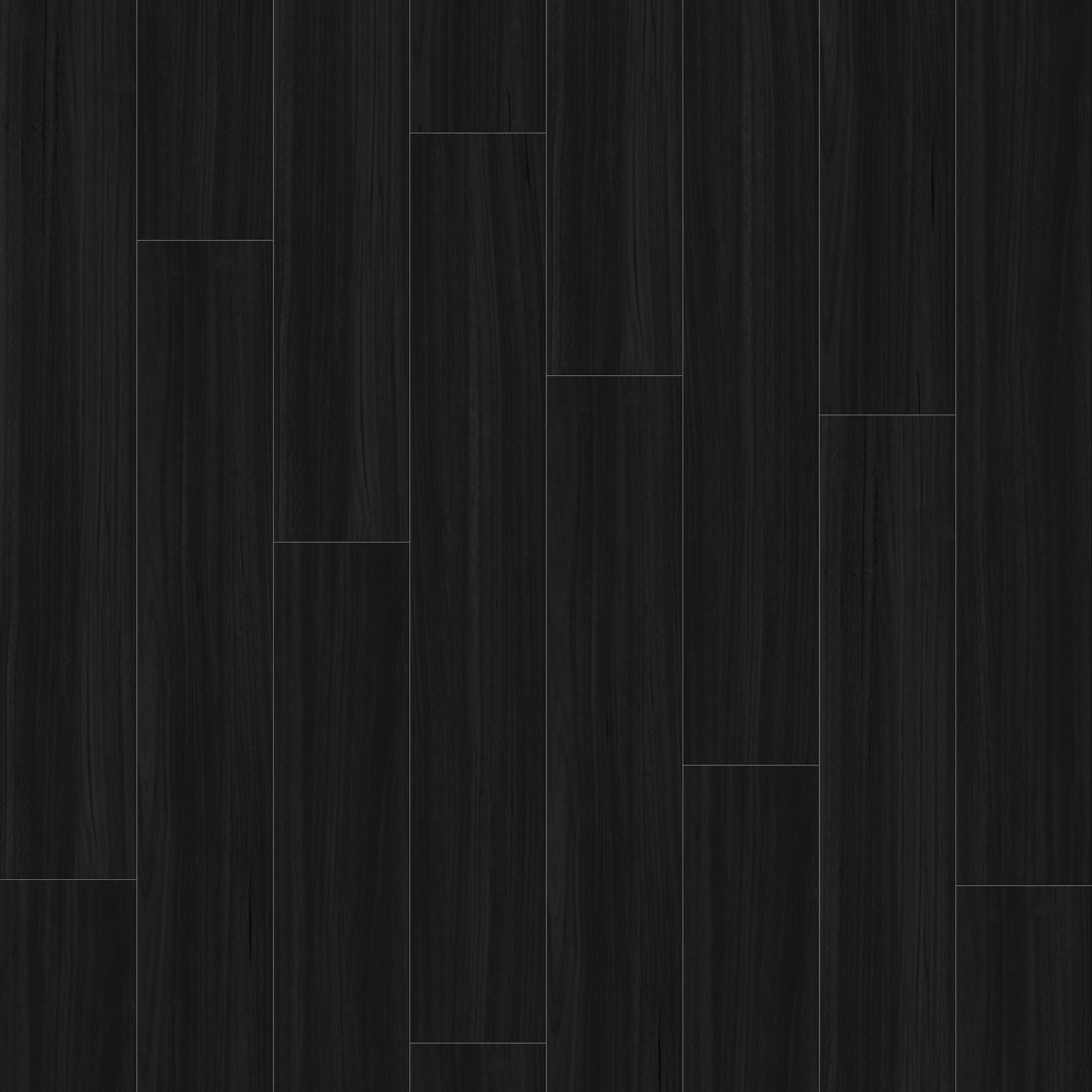 Belgotex Refined Blackbutt Ashen Blackbutt vinyl plank flooring