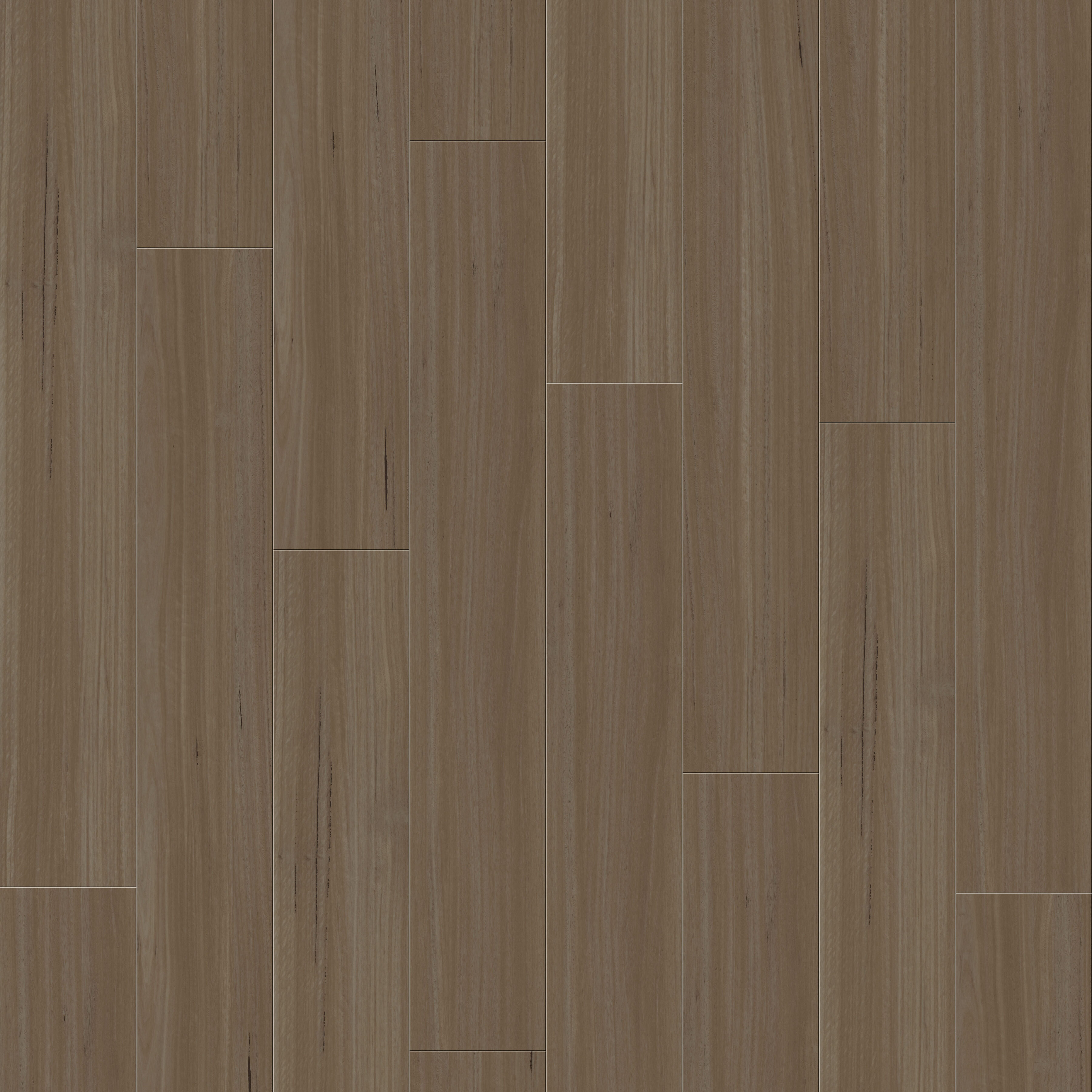 Belgotex Refined Blackbutt Pecan Blackbutt vinyl plank flooring