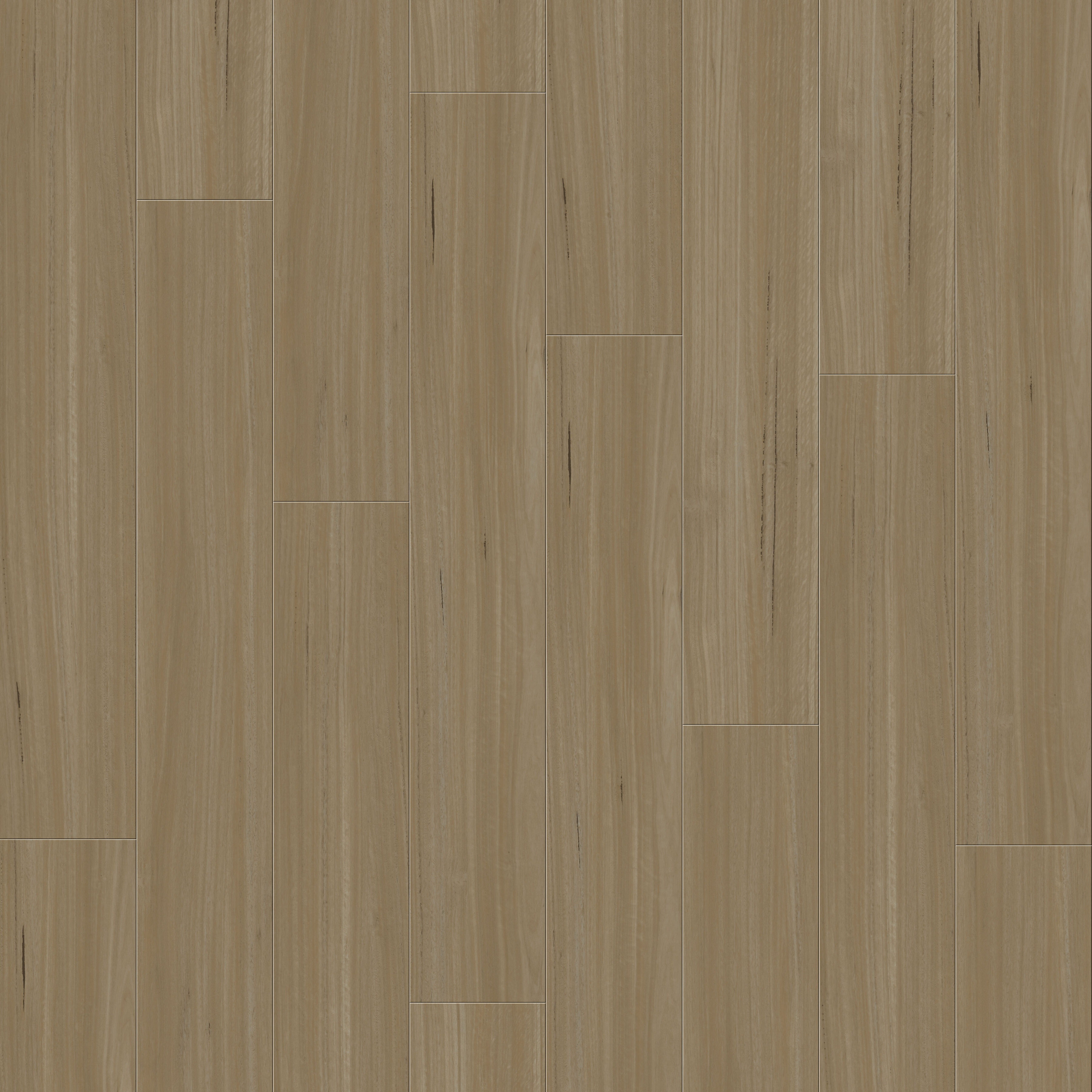 Belgotex Refined Blackbutt Honey Blackbutt vinyl plank flooring
