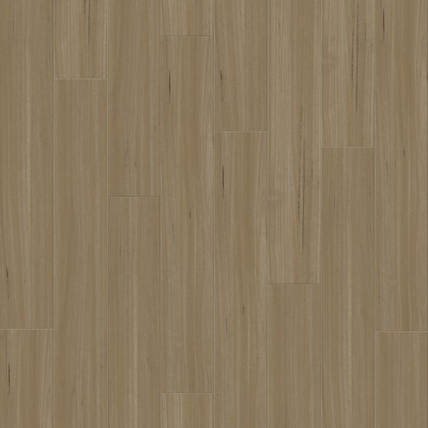 Belgotex Refined Blackbutt Honey Blackbutt vinyl plank flooring