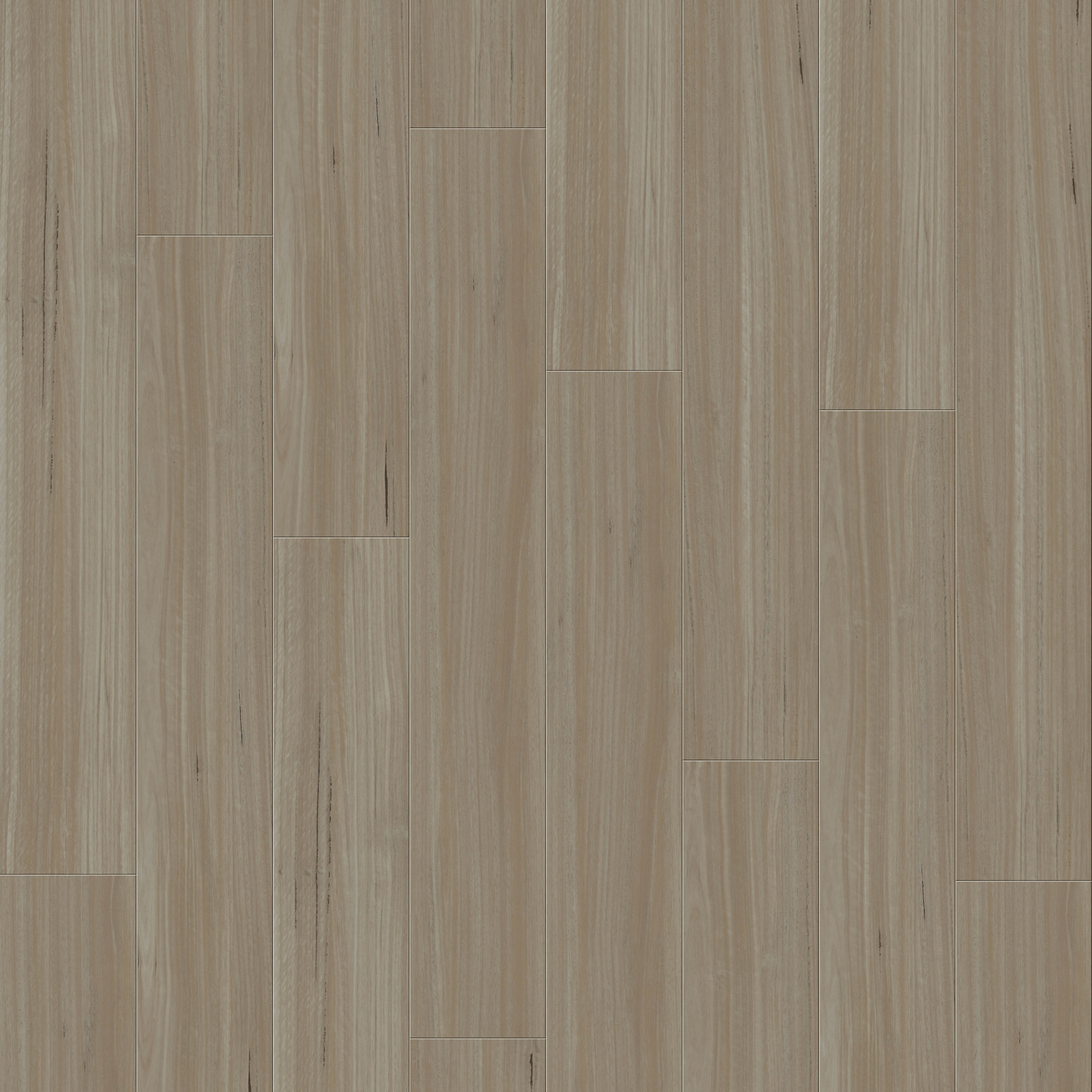 Belgotex Refined Blackbutt Almond Blackbutt vinyl plank flooring