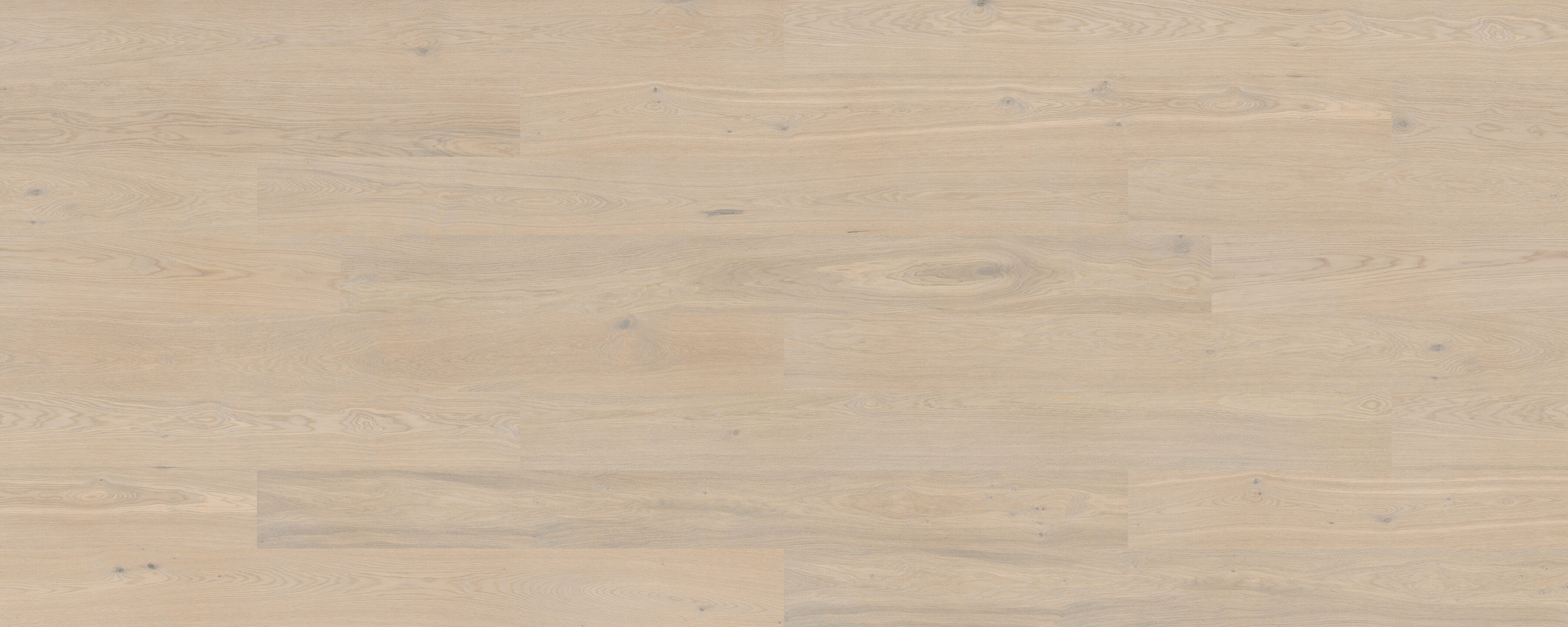 Bjelin S Powder White hardened timber flooring