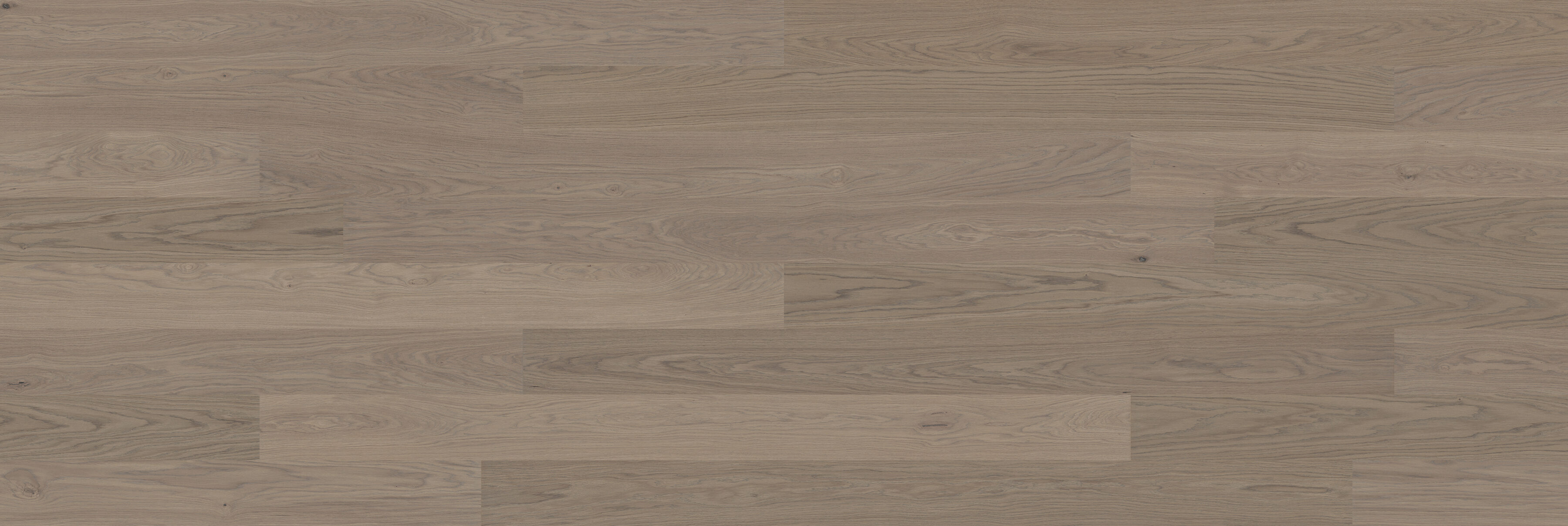 Bjelin S Earth Grey hardened timber flooring