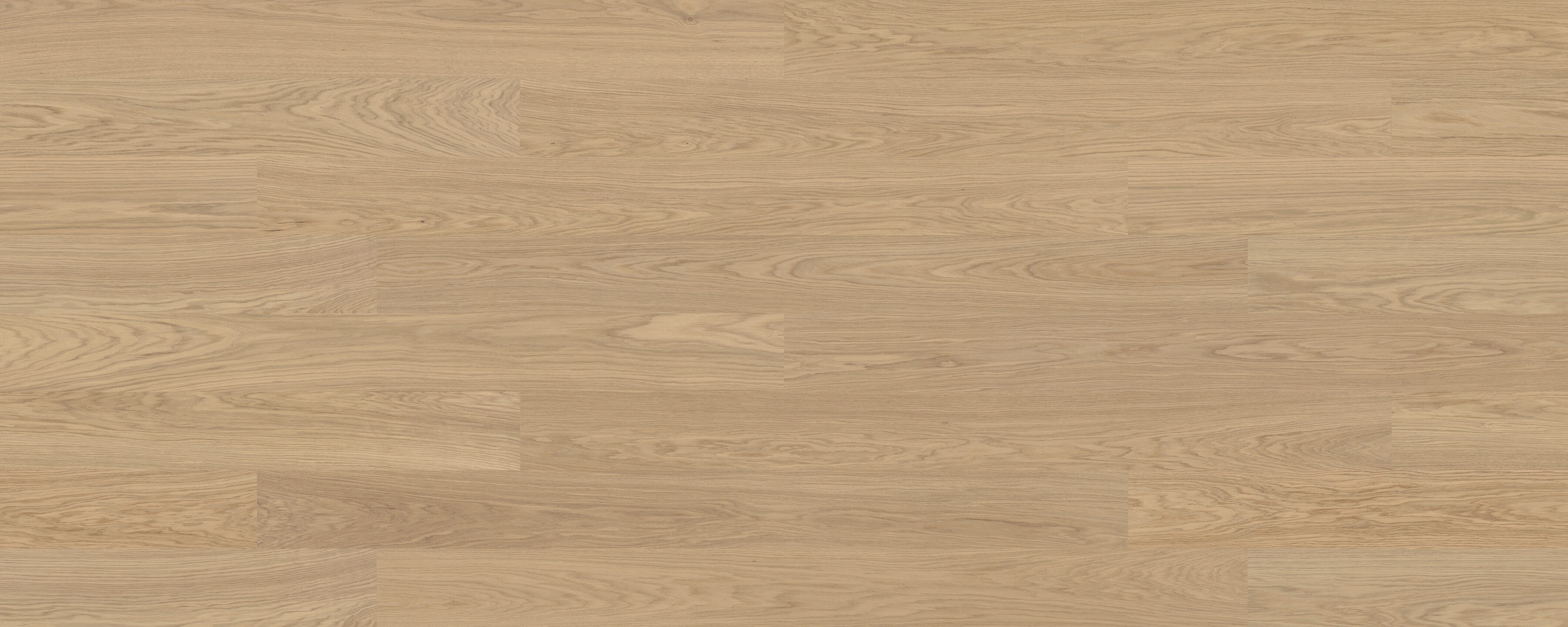 Bjelin XL Misty White hardened timber flooring