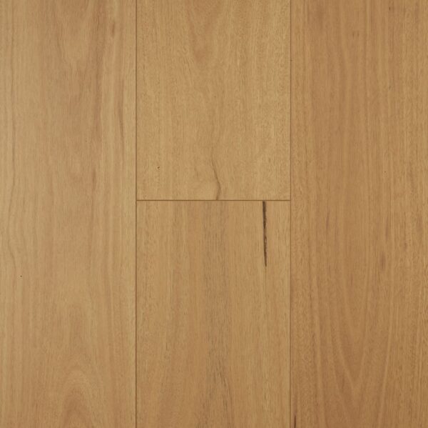 Preference Floors Aspect Blackbutt 12mm laminate flooring