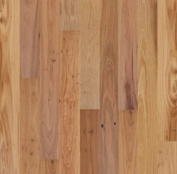 Skov Eucalypt Blackbutt Engineered Timber Flooring official colour swatch
