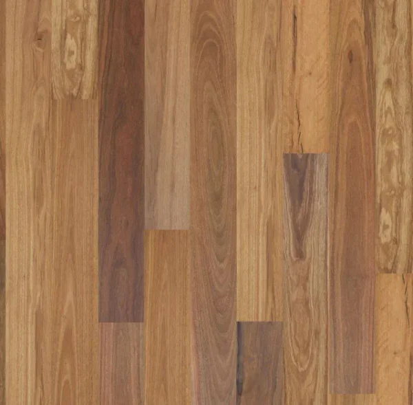Wooden Cladding Rounded Skov Eucalypt Spotted Gum Engineered Timber Flooring - The Flooring Guys