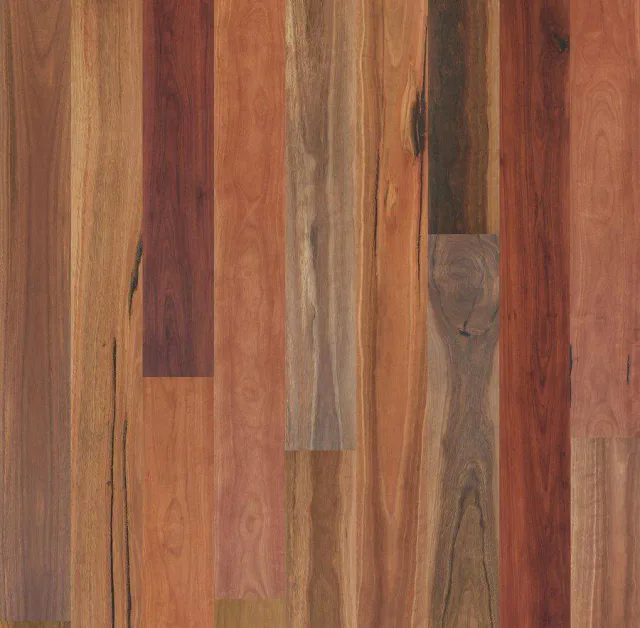 Skov Eucalypt Spotted Gum Rustic Engineered Timber Flooring