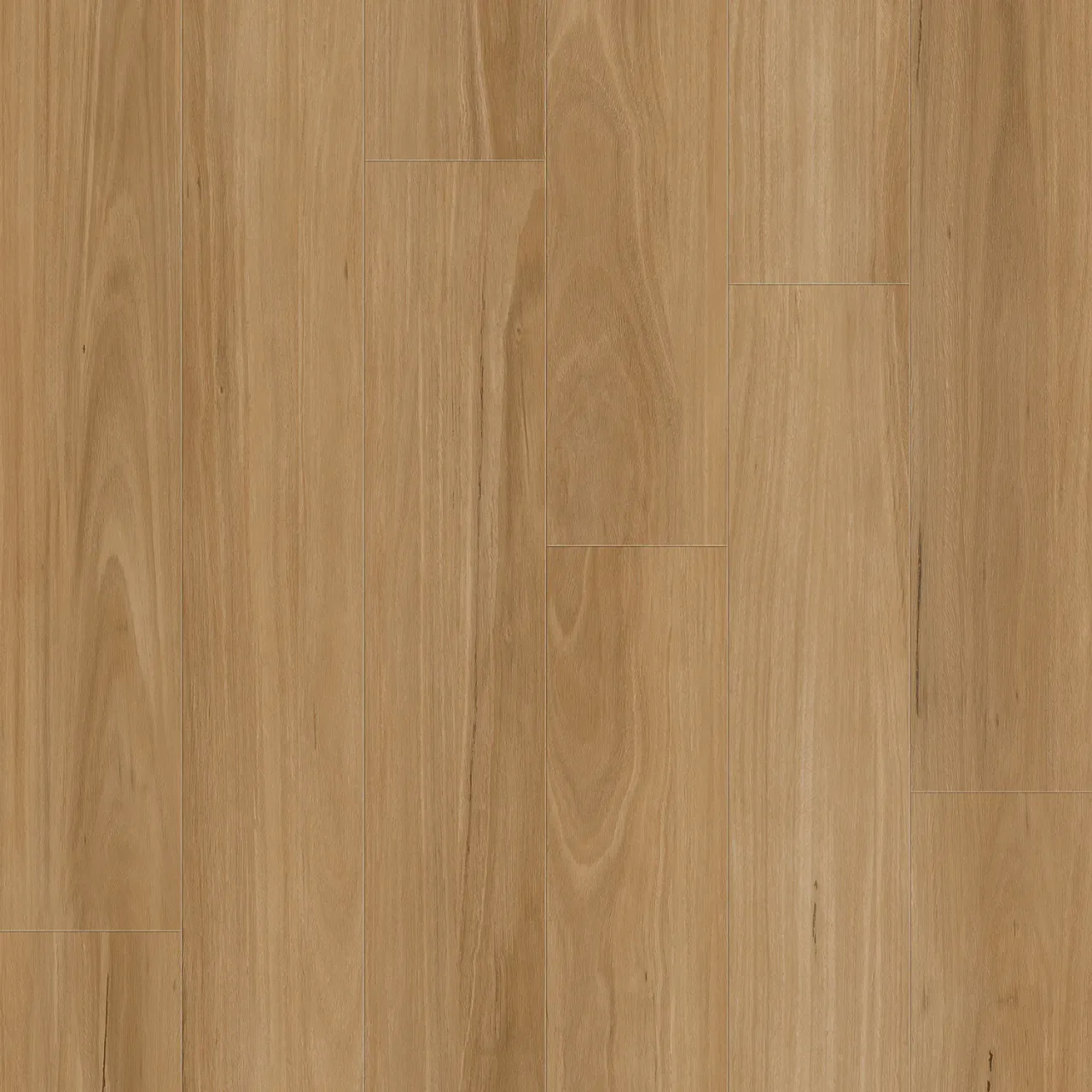 Skov Phoenix Blackbutt Hybrid Flooring official colour swatch