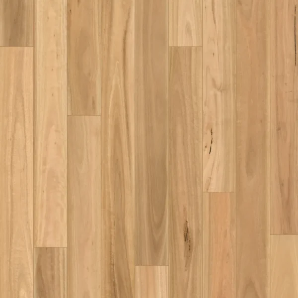 Skov Tribute Blackbutt Laminate Flooring official colour swatch