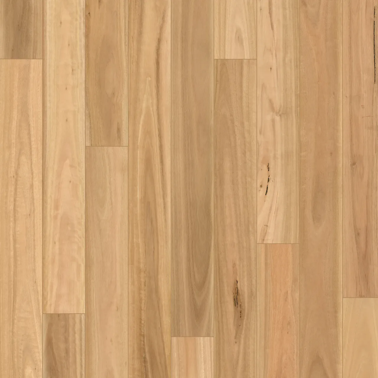 Skov Tribute Blackbutt Laminate Flooring official colour swatch