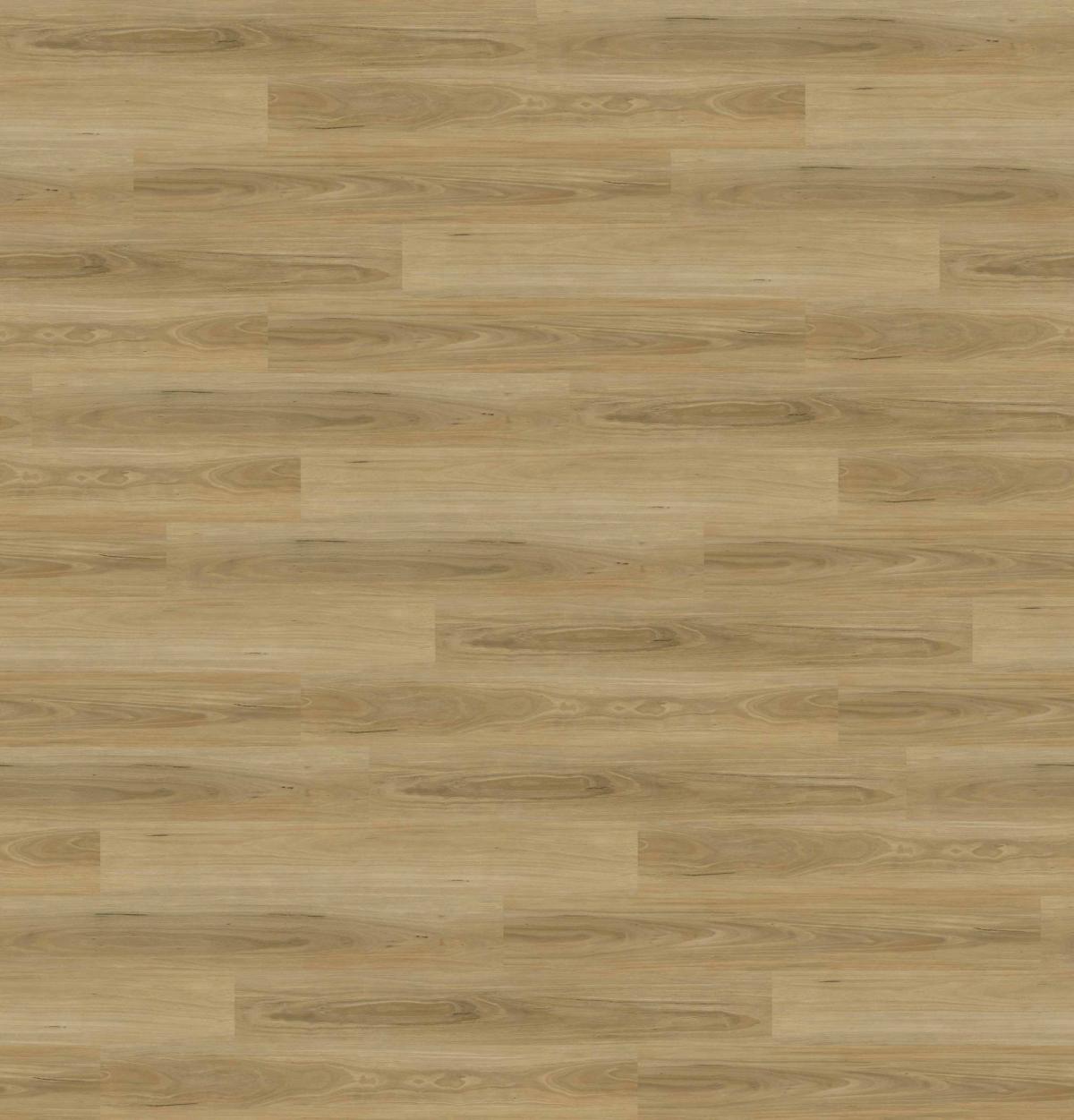 BestBuys Coastal Blackbutt 2mm vinyl plank flooring colour and grain
